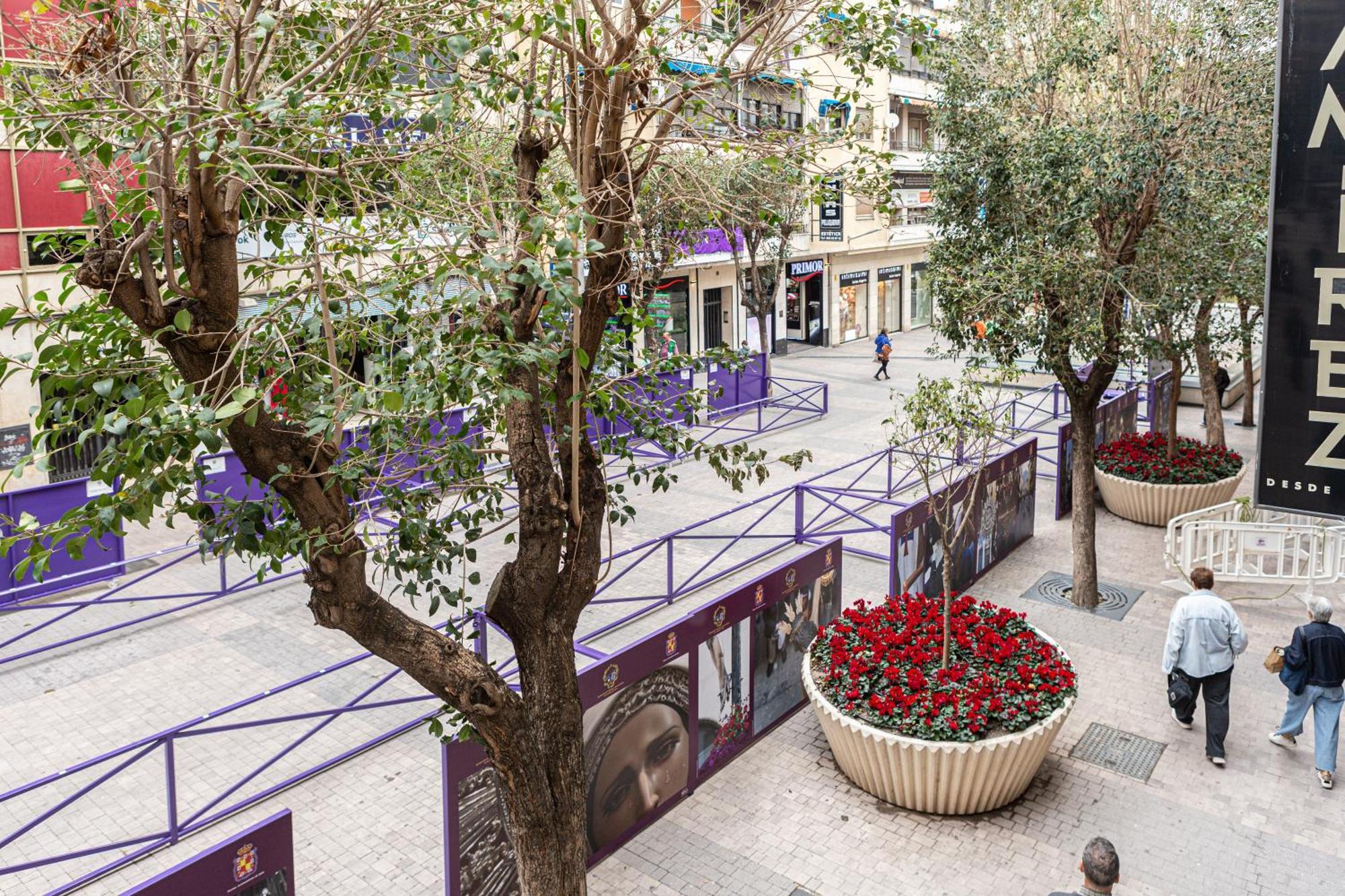 Royar Apartamentos ハエン エクステリア 写真